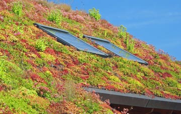 Abington Pigotts living roof systems