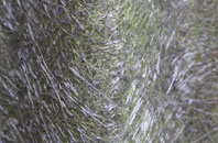 Abington Pigotts fibreglass roof work